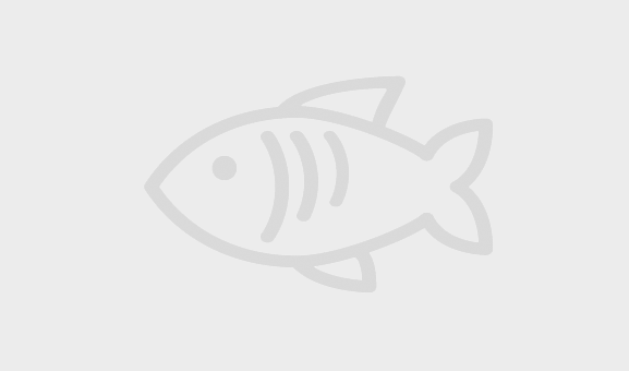 placeholder image for fish species